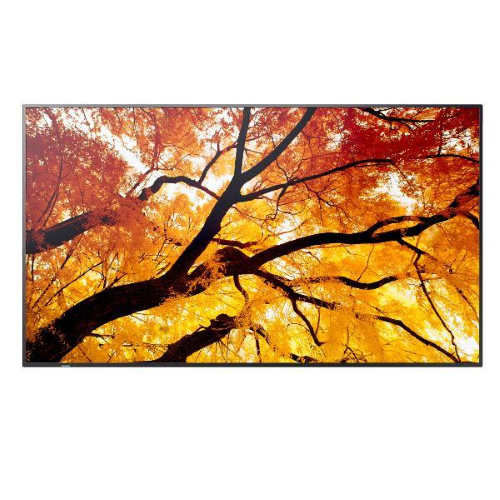 Maxischermi LCD/LED